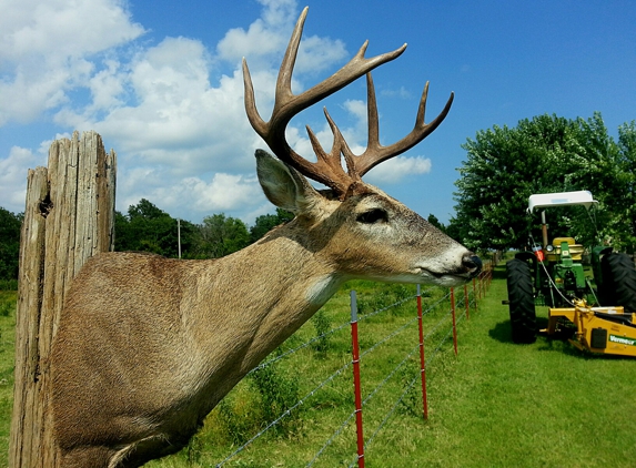 Freedom Outdoors & Taxidermy - Seneca, MO. 12 point shot in November of 2013