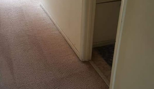 USA Carpet Care & Dye - St. Clair Shores, MI