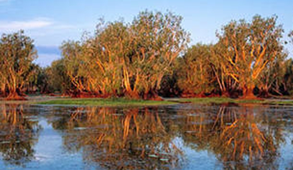 Yellow Water Cruises and Adventure tours - Jabiru, NT