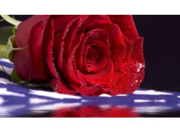Valley Funerals - Tatura, VIC