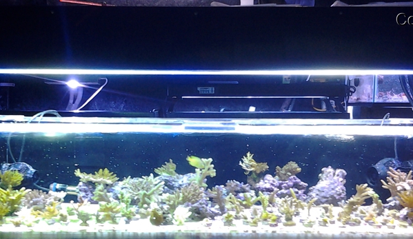 Saltwater Reef Shop Inc - Tulsa, OK