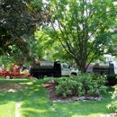 Cutting Edge Tree professionals LLC - Tree Service