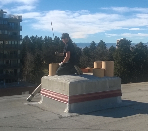 Alpine Chimney Sweep - Denver, CO