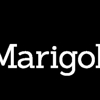 The Marigold gallery