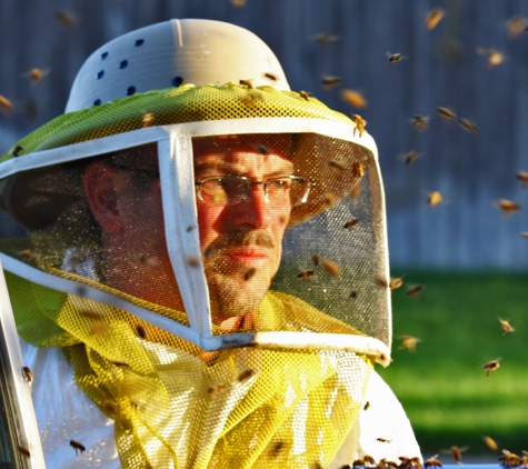 Bee Removal - Wildlife - Pest Control