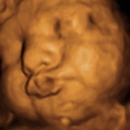 Conceived Revelations 3D/4D Ultrasound Studio - Imaging Equipment & Supplies