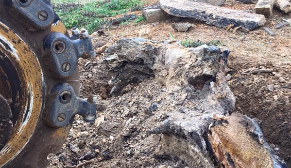 Grinderz Stump Grinding - Rome, GA