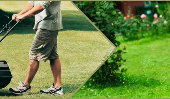 Wayne's Garden & Lawn Mowing Maintenance - Mermaid Waters, QLD