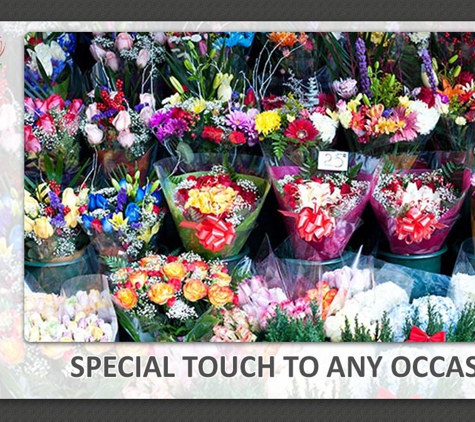 Blooms On High - Hastings, VIC. No Matter What The Occasion Is, Flowers Are A Beautiful Gift And A Special Way Of Saying That You Care
