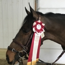 Hudson Equestrian Center Inc-Bochum Farm - Horse Training