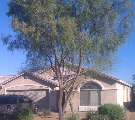 Tree's By Mike - Glendale, AZ
