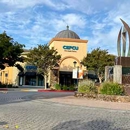 CEFCU Member Center - Credit Unions