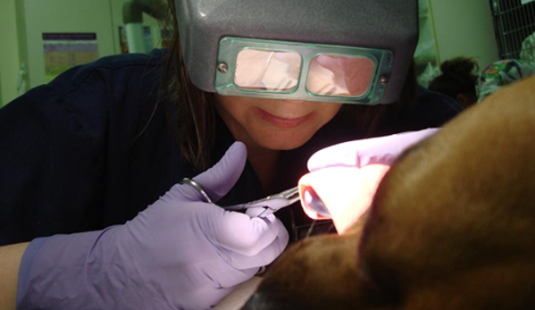 Clairemont Village Pet Clinic - San Diego, CA