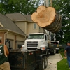 Oakland Tree Service gallery