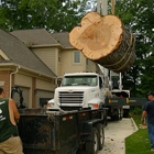 Oakland Tree Service