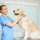 Northgate Animal Hospital - Veterinary Clinics & Hospitals