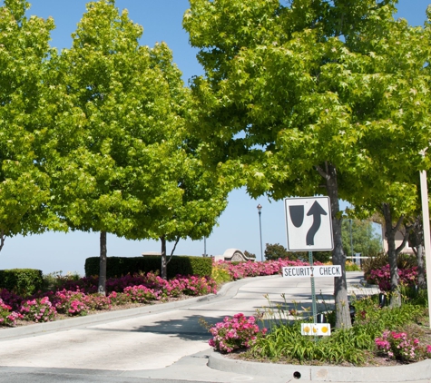 Paul Bauman's Tree Service - Los Gatos, CA