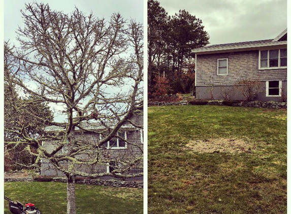 Cape Cod Tree & Landscape Services - South Chatham, MA. tree removal, Chatham