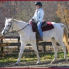 Stonehouse Equestrian, LLC gallery