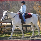 Stonehouse Equestrian, LLC