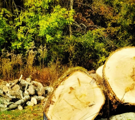 AAA Tree Service - Trenton, TN. AAA Tree Service - Logs for Firewood