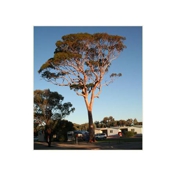 Gallery Image Number 1