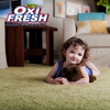 Oxi Fresh of South Elgin Carpet Cleaning gallery