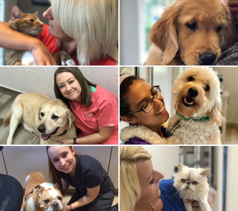 Downtown Pet Hospital - Orlando, FL. Our wonderful techs with some faves!