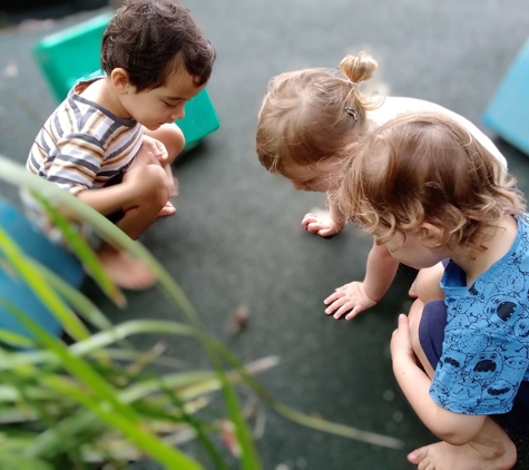 Shamrock Hill Early Learning & Long Day Care Centre - Ashtonfield, NSW