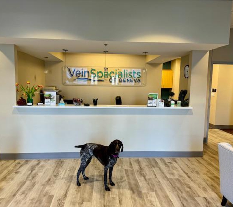 Vein Specialists of Geneva, Ltd. - Geneva, IL