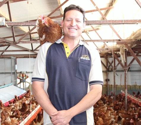 Llandilo Farm Fresh Eggs - Llandilo, NSW