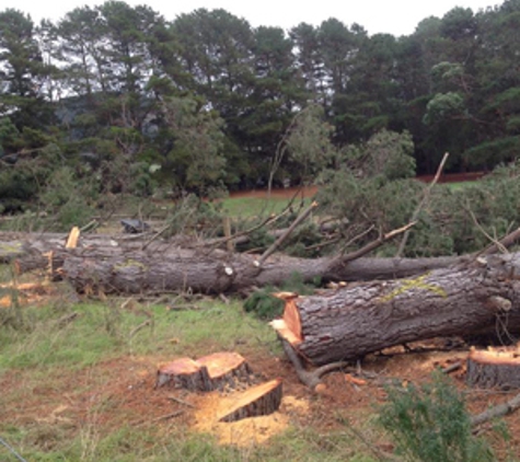 Dan's Tree Services - Wangaratta, VIC