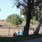 Rancho Linda Mio Horse Boarding & Training Facility