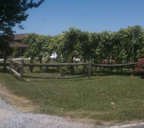 Round Peak Vineyards - Mount Airy, NC