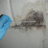 Healthy Home Mold Inspection gallery