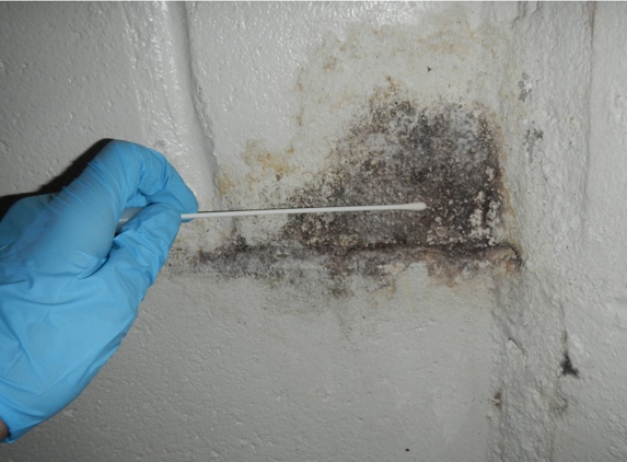 Healthy Home Mold Inspection - Schaumburg, IL
