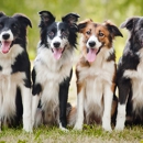 Ottawa Animal Hospital - Veterinary Clinics & Hospitals