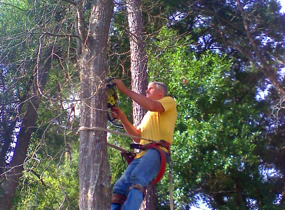 D-Best Tree Care - Orange City, FL