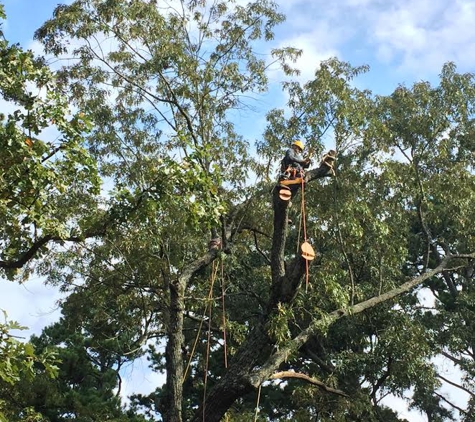 Jake's Tree Care - Hot Springs National Park, AR