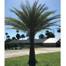 Lisenby Palms Inc. - Greenhouses