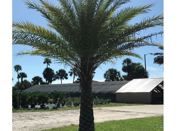 Lisenby Palms Inc. - Panama City Beach, FL