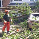 The Cutting Edge of Delaware - Tree Service