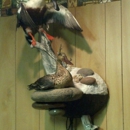 S&B Taxidermy - Taxidermists