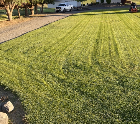 Pacheco’s Lawn Care & Fencing