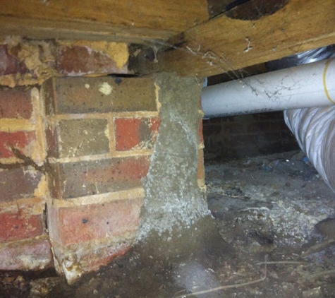 Perkins Exterminators Pty Ltd - Greensborough, VIC