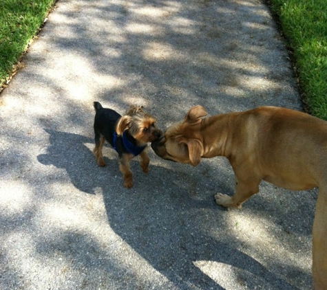 Waterways Dog Park - Aventura, FL