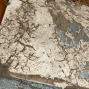Totally Clean Services - Carpet & Rug Cleaners