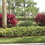 Natures Grounds Landscape Management Inc - Fort Pierce, FL