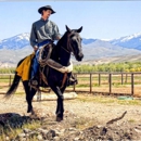 Cummings Horse Training LLC - Horse Breeders