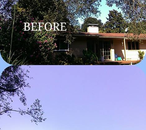 4 Seasons Tree Service - Springfield, MO. Tree Pruning 
This Elm tree was overhanging on our client's property and to close to the house.